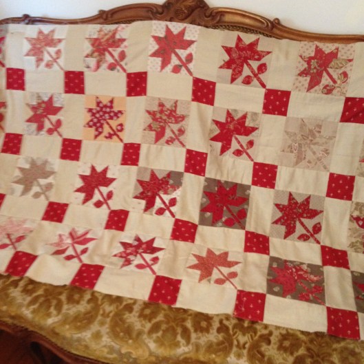 Peony Rose in French General.